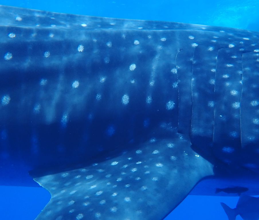 b4166346-e259-4c6a-8fdc-35178aebd756