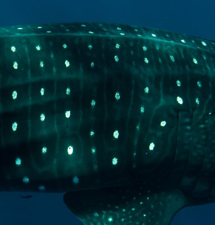 bb9699dd-b79a-4f6a-ac28-6191e688b54e