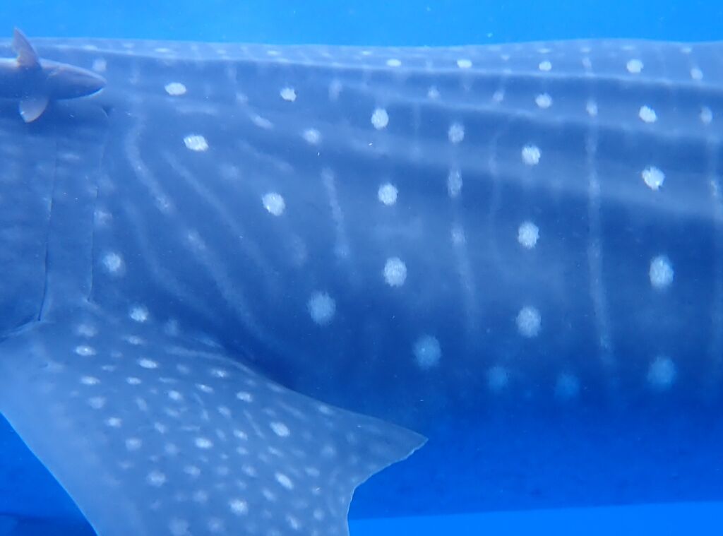 99afd913-057e-49a4-bab9-6c5b5b2a37a6