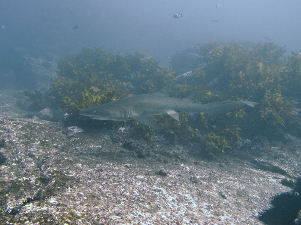 79c5b8db-d2b9-4b61-8e8e-979d76a115d3