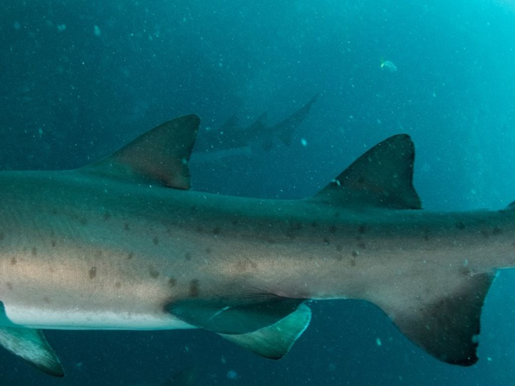 7281d0ff-fce6-49e2-8f8d-60c8147cab7b