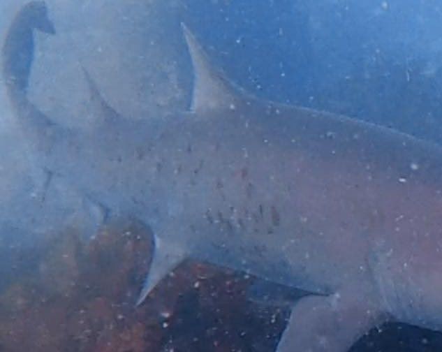 a0a8c8f6-d988-4e37-bb95-84b685602857