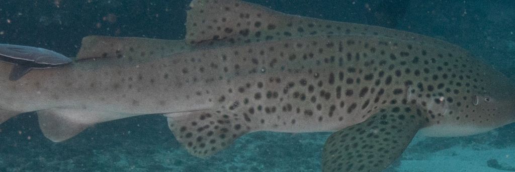 a8f4ce48-d627-4089-baa0-ada409ebddbb