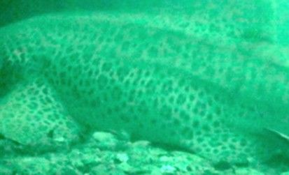 2c44fb94-682e-4a46-9a54-39f3d5279d8d