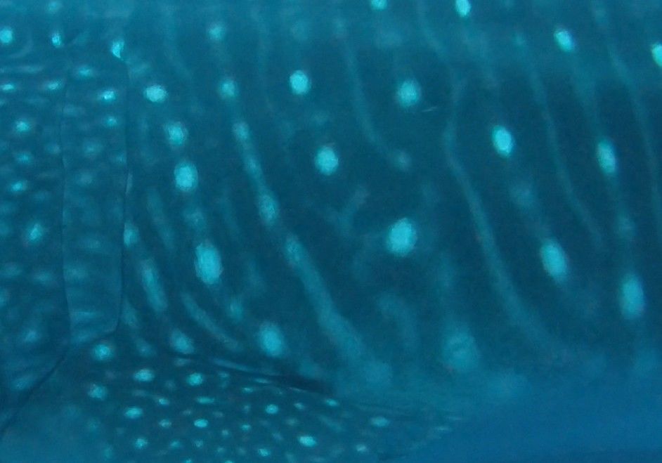 a196272b-c591-4aaa-9e0d-19a56a04de91