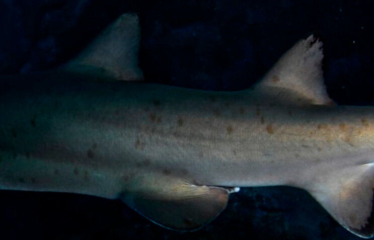 9c45598b-cc2b-4044-ae31-f01db54d2aa6