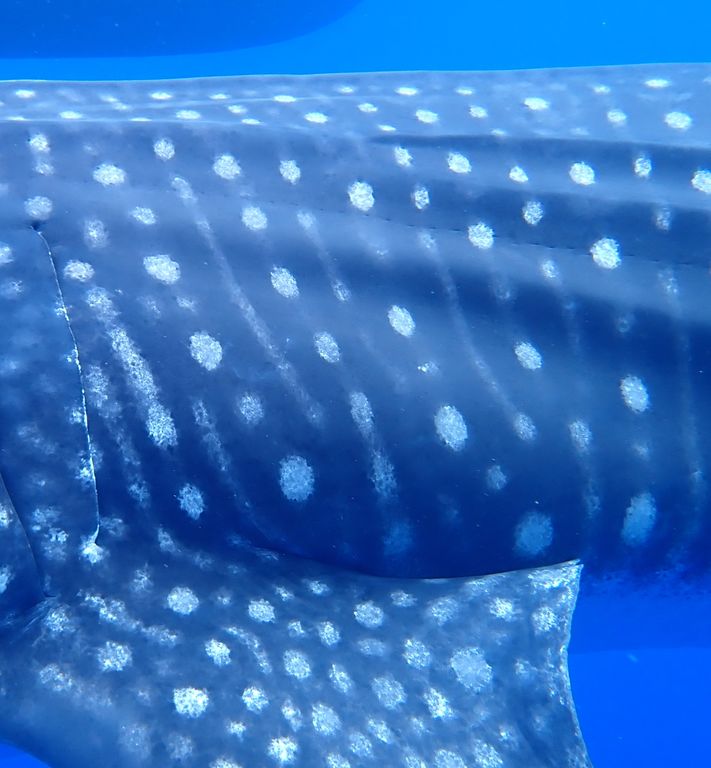 5ee5fea5-4a7b-4009-aaea-bdc10e856473