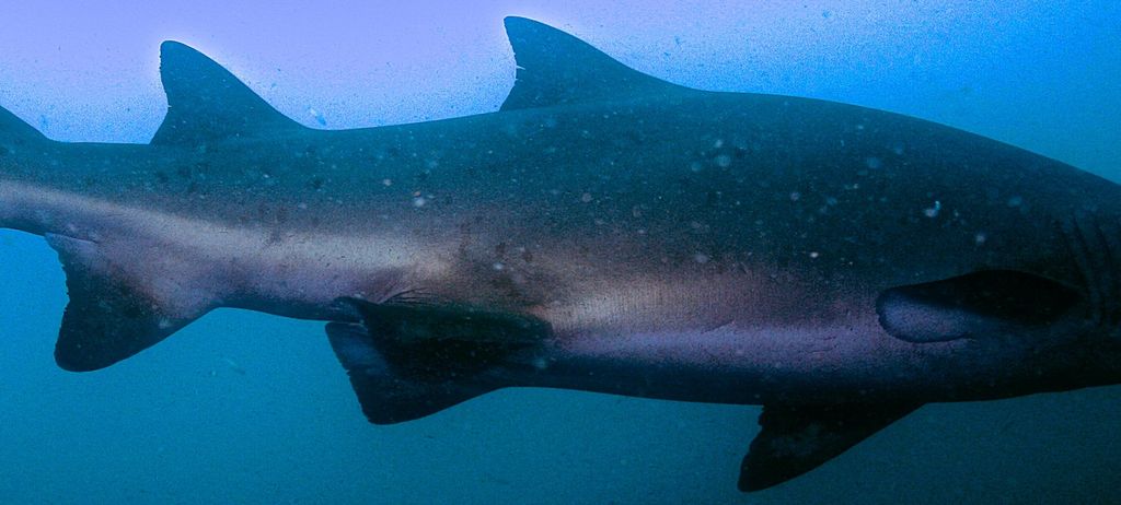 9b0c949d-49c2-4b95-93a6-8b999c7e4102