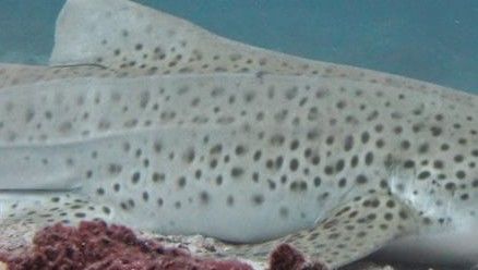 ade465ca-3745-4d27-9389-5f05f870e76b