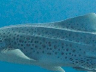 ade465ca-3745-4d27-9389-5f05f870e76b