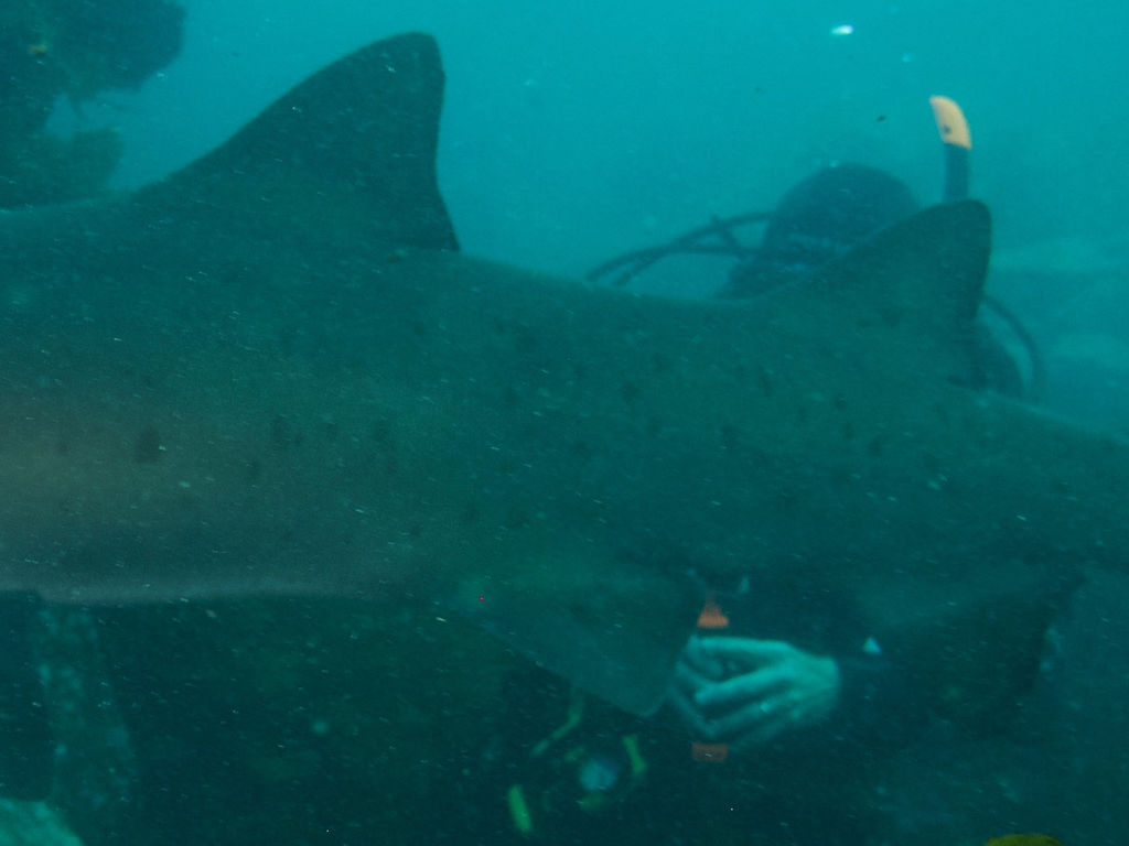 413eb5e5-0cef-4abd-93c8-40e4ae08c6ae