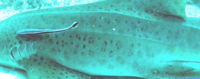 c81b33ea-6624-40f1-8f3f-bdb297cdc88c