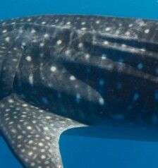 9ab0e922-8a36-4ce2-ac64-d867e36c9bb2