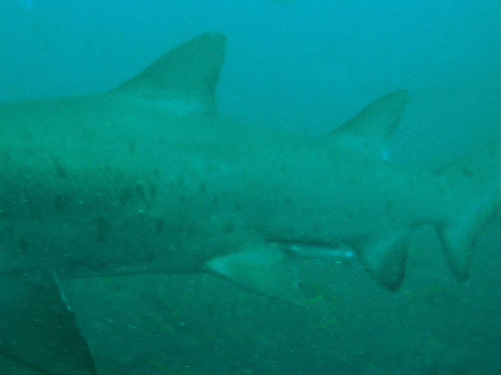 12aa8a7a-1871-41eb-929e-b3a3ed1a9468