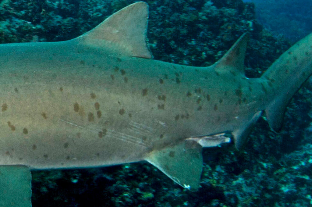 e06f1e97-8601-4f22-937f-93ea99cd243d