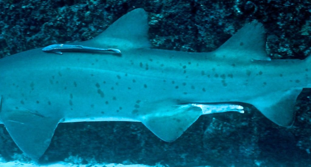 f2319ec4-323b-425c-b9be-83a866269a15