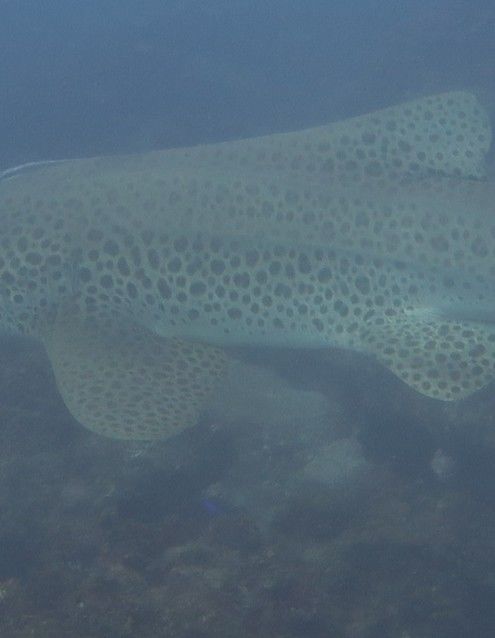 cba39f5d-d8bc-4351-b7f1-872b55a3b463