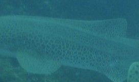 bba6e27d-cef6-490e-b3cd-b6679ecd8fe9