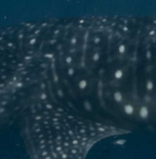 c84a64e4-5385-4792-9677-3225f9fe5eca