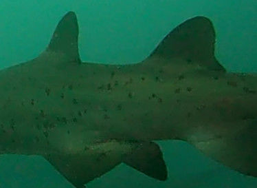 331ea0ad-4680-4daf-9a36-469f39e81e03