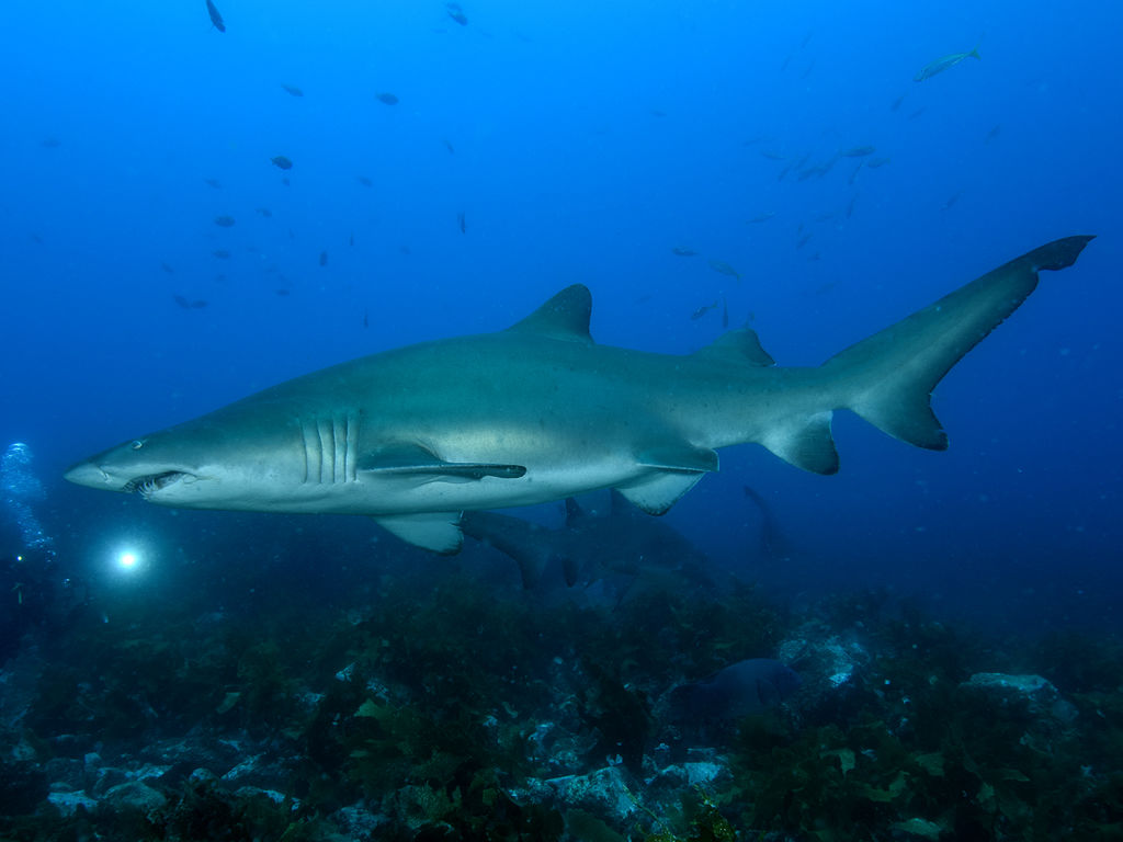 0b7c13e4-c46d-4557-8dab-9b7b21cafb93