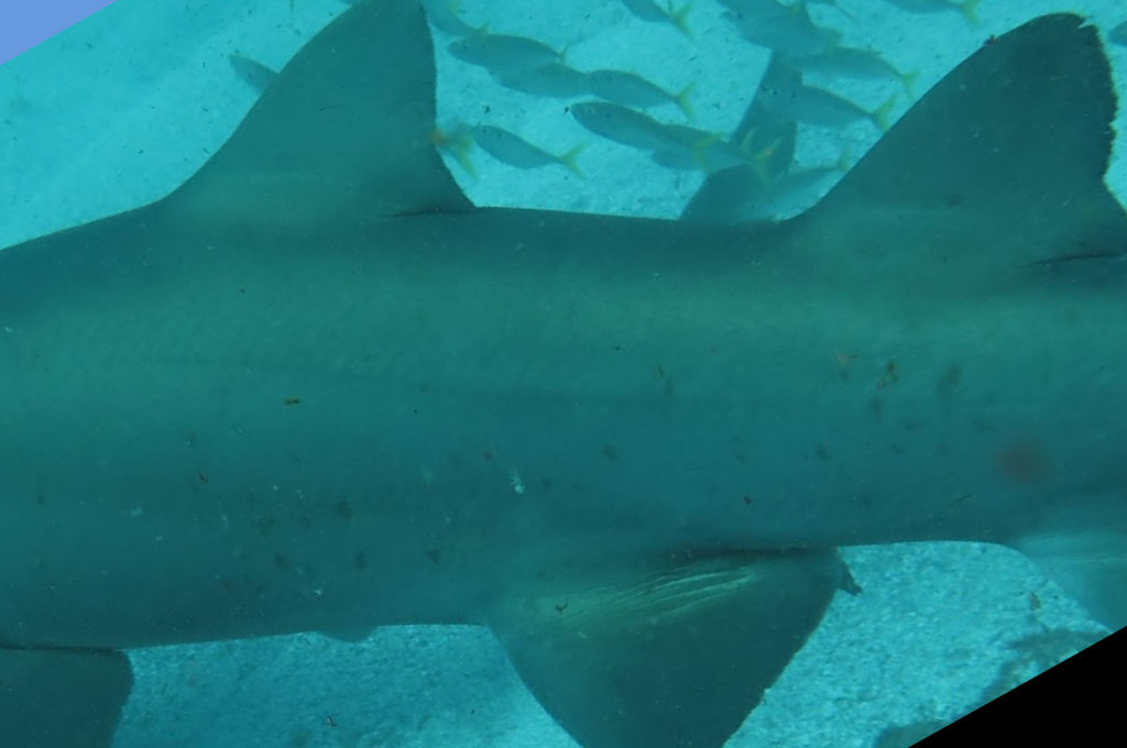 a8b3f6ab-fd66-4587-91e7-180d7d33fbd4