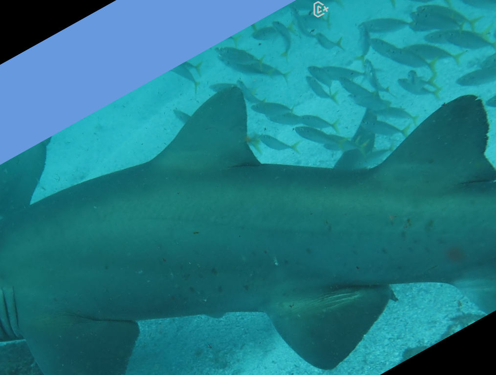 a8b3f6ab-fd66-4587-91e7-180d7d33fbd4