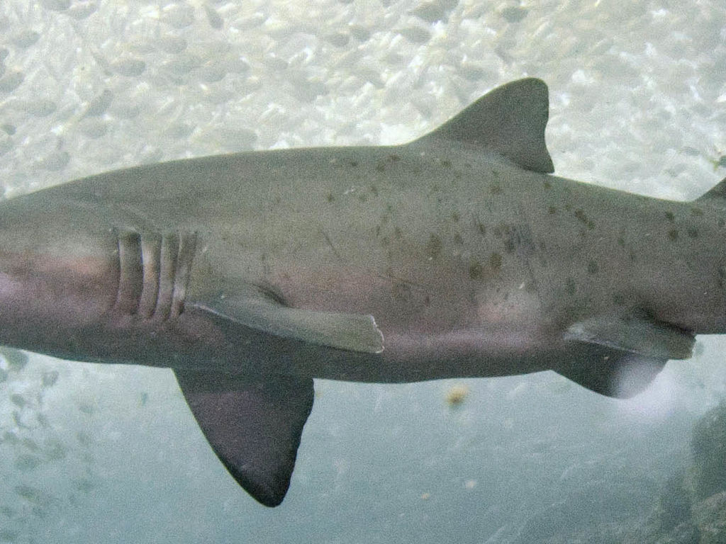 a887188d-eeeb-453a-8d63-dac2d134bdc2