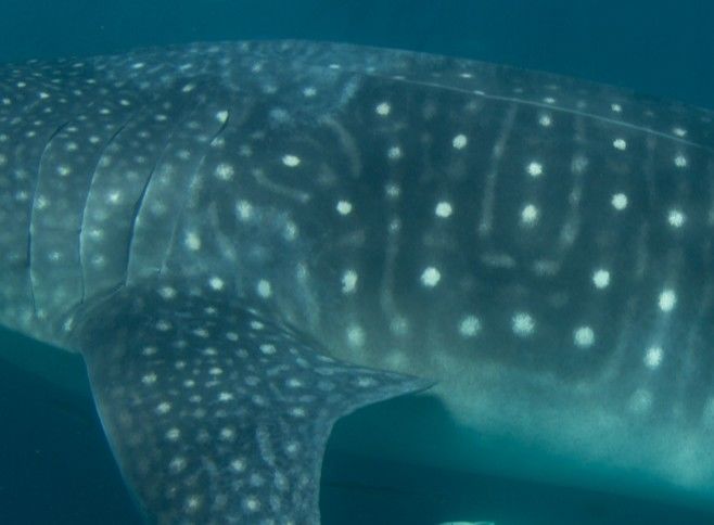 bdbb5313-5d7e-4ab5-b7ed-3a4a62ec6995