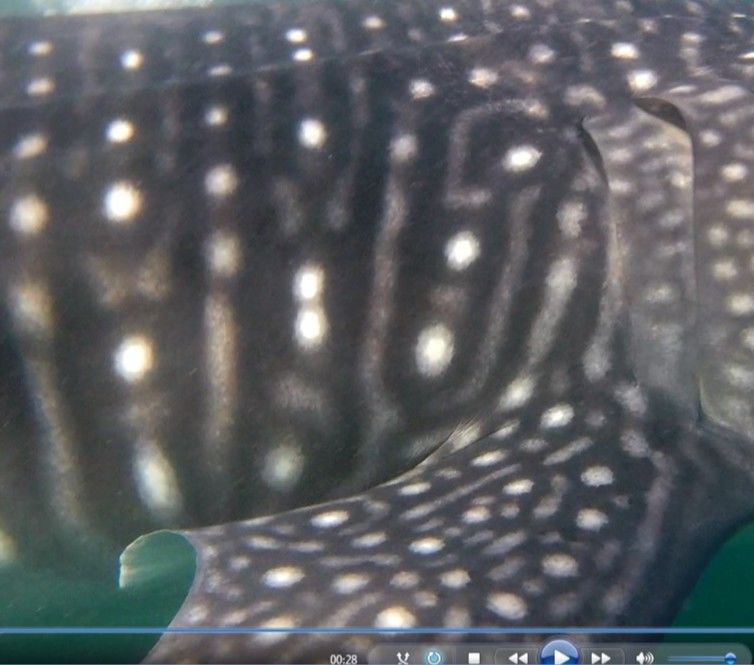 236abcfd-5da4-4b51-8ea9-1072f3f9895e