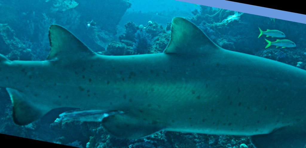 7937708b-a76b-4079-8e0a-f8e9f6156e52