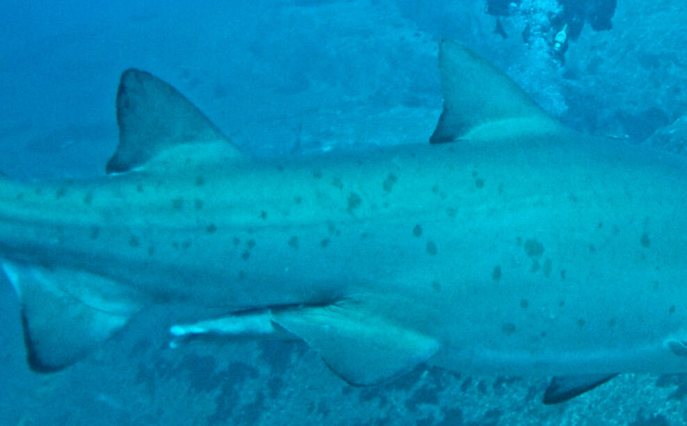 34bc83b2-8fdd-4deb-9955-687acc269c3a