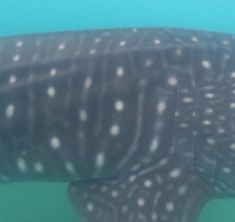 e1310ec6-d5b3-419c-a8ab-7dd401bddc63