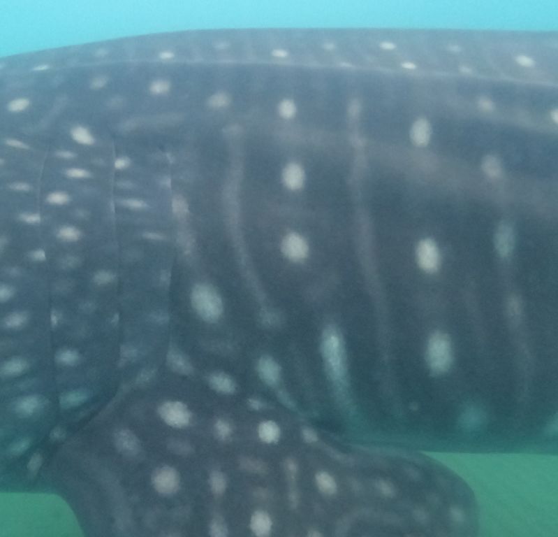 e1310ec6-d5b3-419c-a8ab-7dd401bddc63