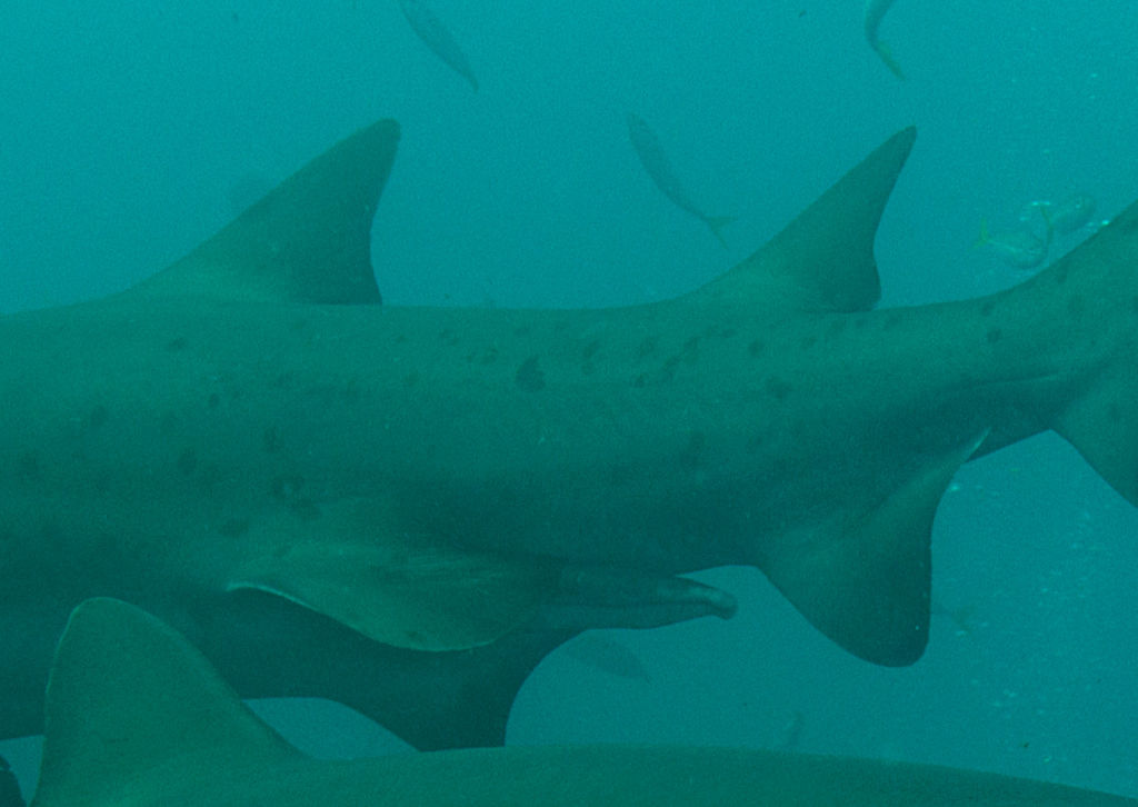 8c3bb0fe-6498-4413-bbb7-7dd95e2fa131