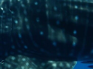 73b01ea5-3b97-4a66-a8c5-aa6cddb929c1