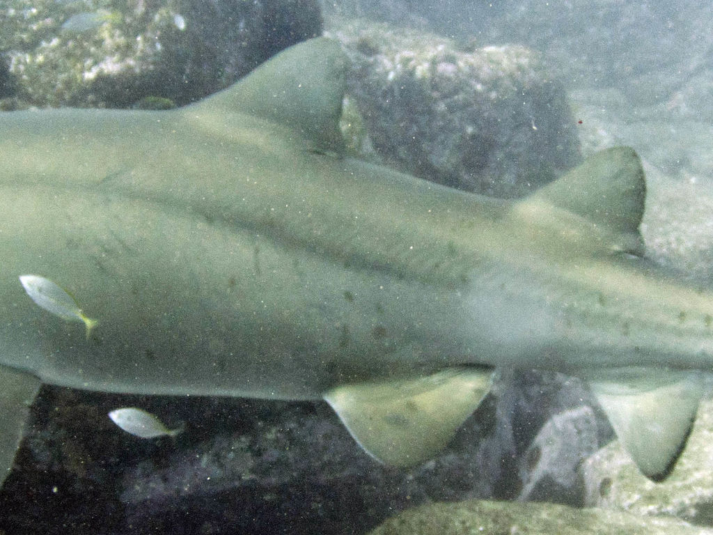 d4413fd5-e8f0-4ac8-8487-68bba0fba5b2