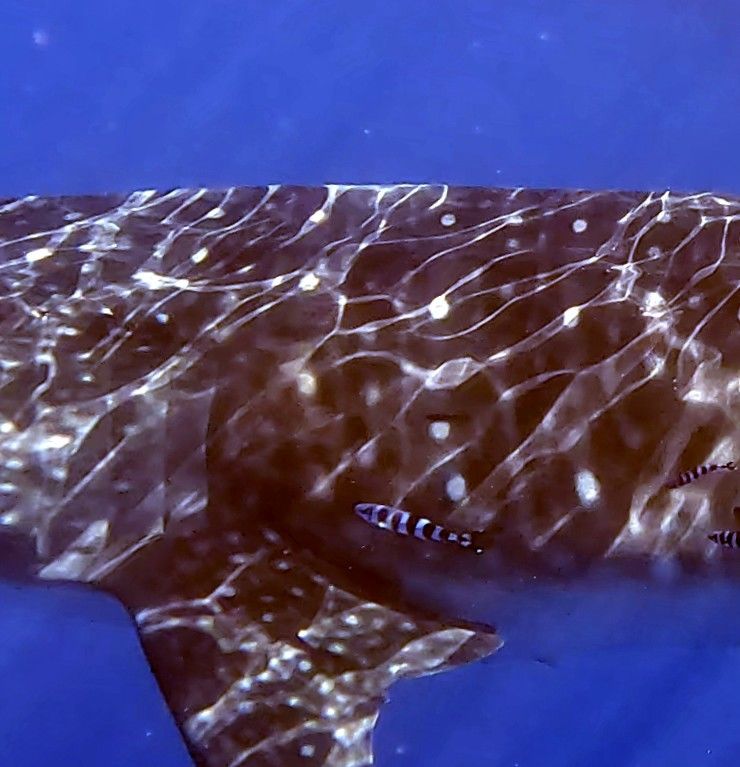 a74b79fd-f68f-49b7-b0fd-c08d9f34ac1e