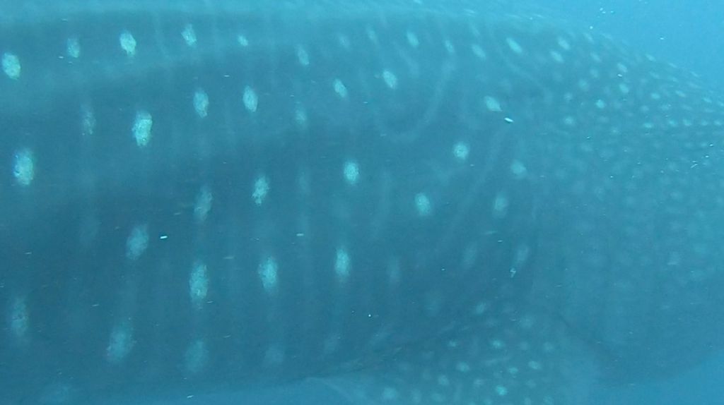 6f77e402-78aa-4ebf-afba-8afe076d40fa