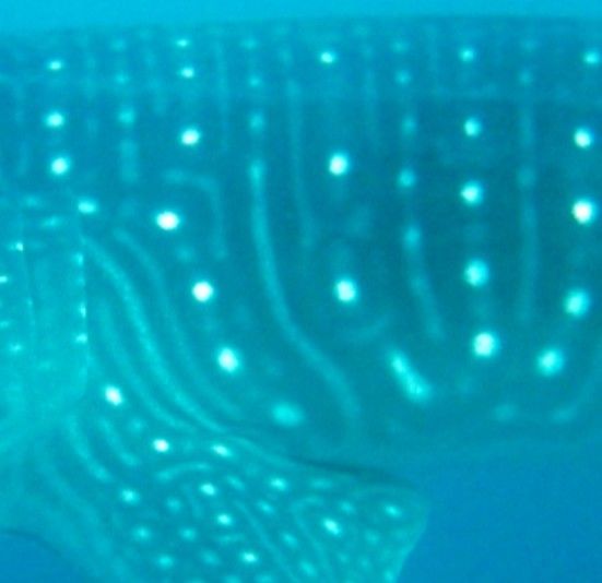 673d2b97-9778-4989-9f44-ca51220a1c58