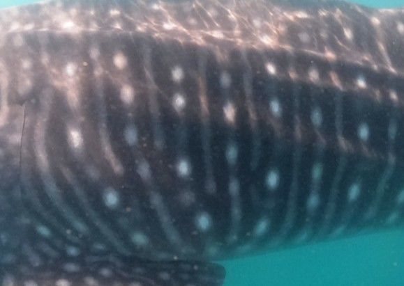 af1d440f-0fe3-4a3d-aca3-9e3f505ca383