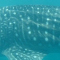 5511f09f-a6bb-4bcc-8acc-fe305288c899