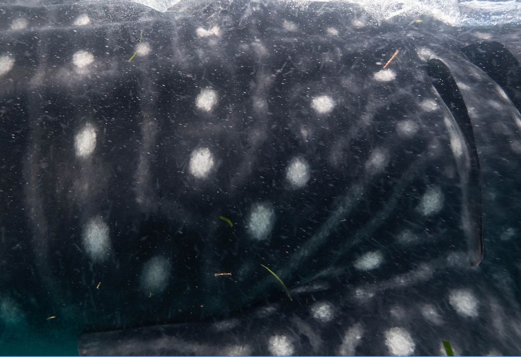 ee75fa40-b4fc-4947-8e72-4f06c371f837