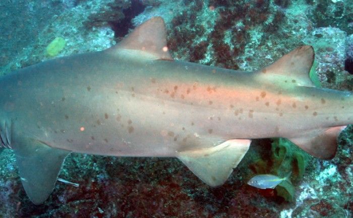 9afdf087-5c58-4724-99f8-4ca225de8477