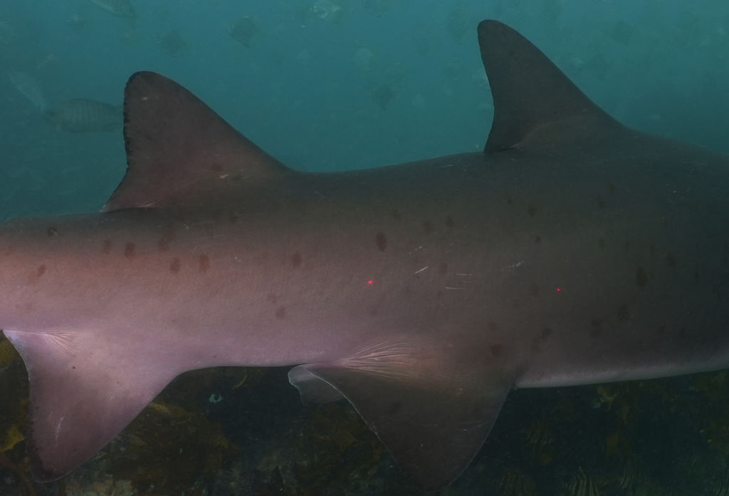 a150ab08-0f3d-47ec-b418-4db3e2a836e9