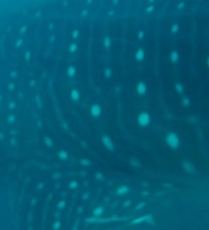 632c47d2-343e-48d8-8570-aa61e5a3168b