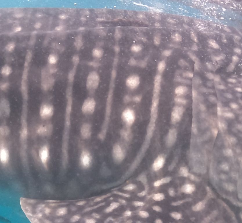 ce68b213-40a8-4a9d-8da6-cd0282e26427