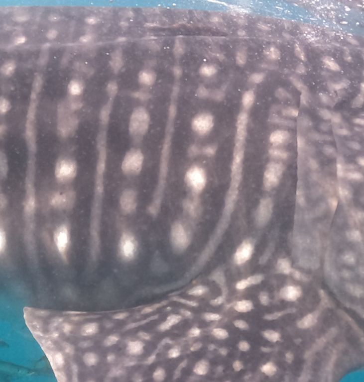 ce68b213-40a8-4a9d-8da6-cd0282e26427