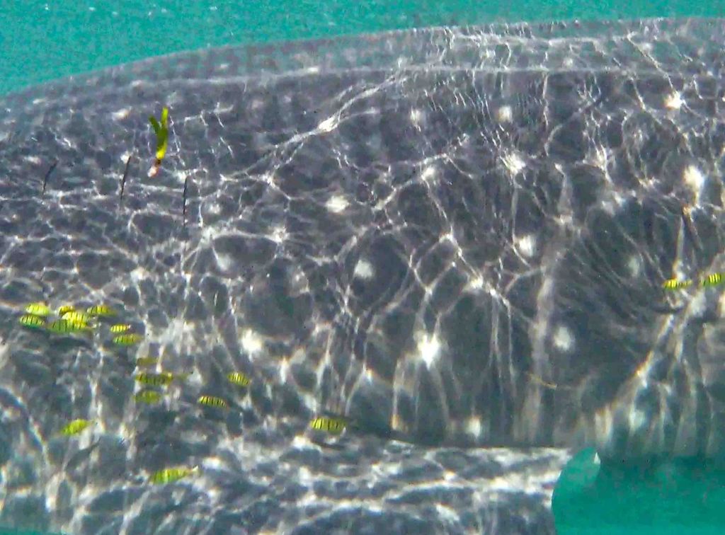 639720c7-af72-4408-8209-b46ae4582642