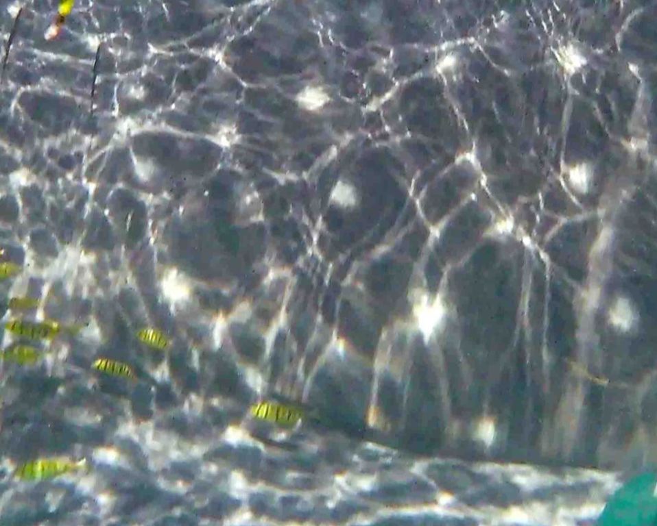 639720c7-af72-4408-8209-b46ae4582642